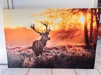 Canvas schilderij 120x80 cm NIEUW hert, Ophalen, Nieuw, Schilderij, 100 tot 125 cm