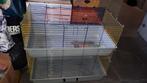 Mooie konijnen cavia kooi twee verdiepingen gratis ophalen, Ophalen, Kooi, Gebruikt, 90 cm of meer