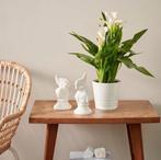 2 x witte bloempot | Muskot Ikea, Tuin en Terras, Bloempotten, Ophalen, Rond, Zo goed als nieuw, Minder dan 25 cm