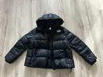 Burberry winterjas, Zwart, Maat 56/58 (XL), Ophalen of Verzenden, Zo goed als nieuw