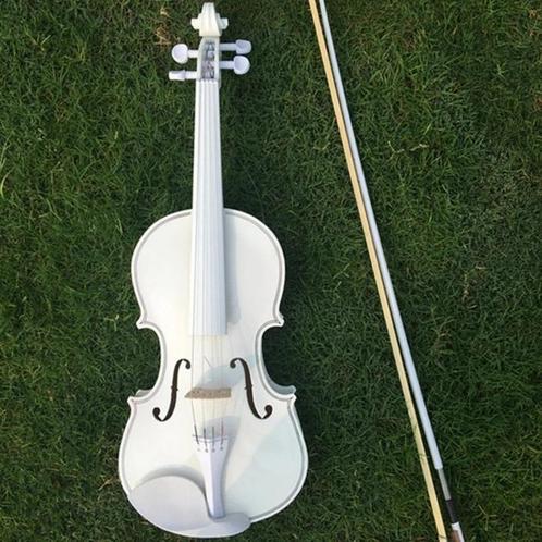 Beginner Viool - violen - viool 4 4, Muziek en Instrumenten, Strijkinstrumenten | Violen en Altviolen, Nieuw, Viool, Ophalen of Verzenden