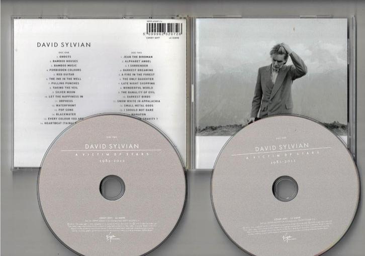 DAVID SYLVIAN 2CD A Victim of Stars 1982-2012, Cd's en Dvd's, Cd's | Pop, Zo goed als nieuw, 1960 tot 1980, Ophalen of Verzenden