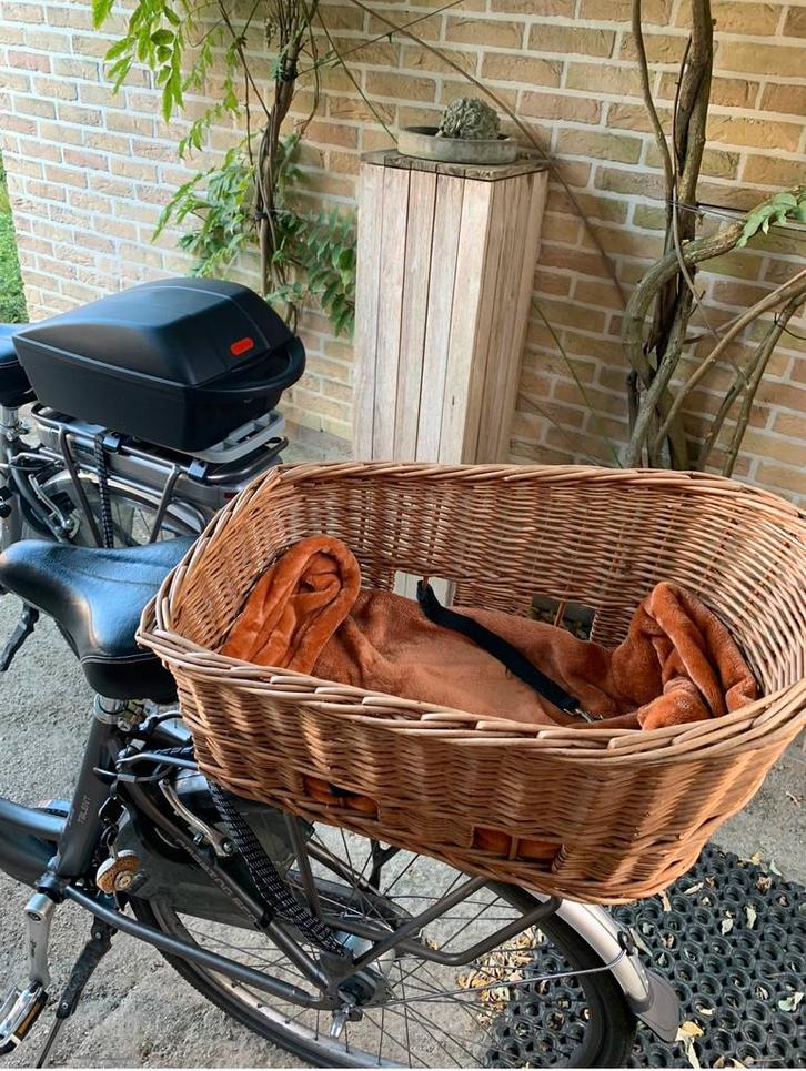 Fietsstoel voor hond. Past op elektrische fiets, Dieren en Toebehoren, Honden-accessoires, Zo goed als nieuw, Ophalen of Verzenden