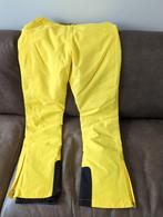 Nieuwe Protest skibroek - Maat S, Kleding | Dames, Wintersportkleding, Nieuw, Protest, Maat 36 (S), Ophalen