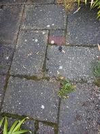 Tegels 60 x 40, Ophalen, Gebruikt, Beton, Terrastegels
