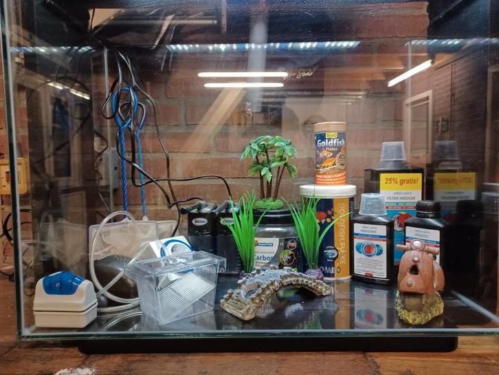 Superfish home 80, Dieren en Toebehoren, Vissen | Aquaria en Toebehoren, Leeg aquarium, Ophalen