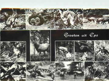 (387-105-011) Epe Groeten uit beschikbaar voor biedingen