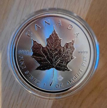 1 oz zilver Maple Leaf zilveren munt 2025 beschikbaar voor biedingen