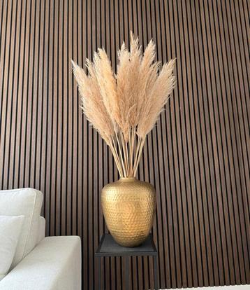 Vaas met Pampaspluimen beschikbaar voor biedingen
