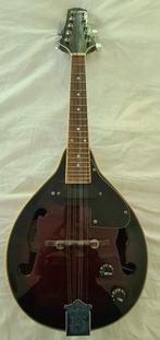 Johnson elektronische mandoline 16 snarig., Muziek en Instrumenten, Ophalen of Verzenden, Zo goed als nieuw