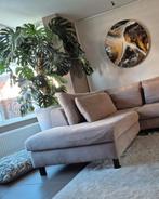 Grote monstera plant, 2,7meter hoog incl pot van 90cm, Ophalen of Verzenden, Halfschaduw, 200 cm of meer