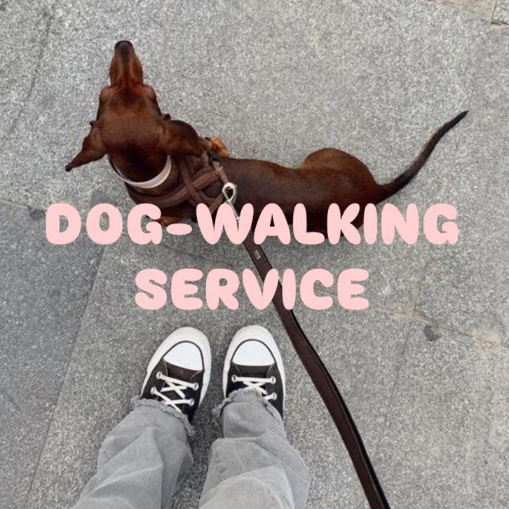 Hondenuitlaatservice Zoetermeer en omstreken, Dieren en Toebehoren, Honden-accessoires, Ophalen of Verzenden