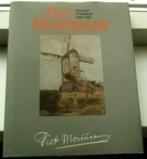 Piet Mondriaan een jaar in Brabant. de Mooij. ISBN 906630202, Boeken, Ophalen of Verzenden, Zo goed als nieuw, Schilder- en Tekenkunst