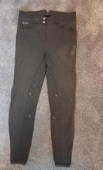 Rijbroek Quur maat 36, Ophalen of Verzenden, Gebruikt, Dressuur, Onderkleding
