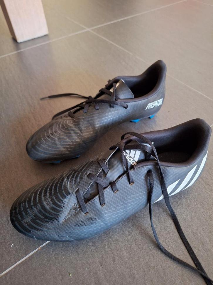 Voetbalschoenen Adidas Predator maat 47,5, Sport en Fitness, Voetbal, Zo goed als nieuw, Schoenen, Maat XS of kleiner, Ophalen