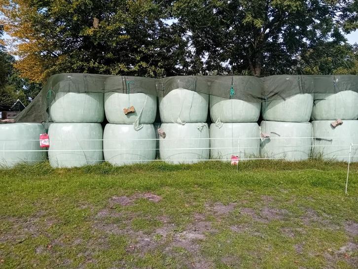 Grote balen hooi, Dieren en Toebehoren, Dierenvoeding, Vee, Ophalen of Verzenden