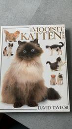 De mooiste katten boek, Boeken, Dieren en Huisdieren, Ophalen of Verzenden, Gelezen