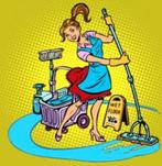 Poetshulp - Schoonmaakster gezocht in Bladel, Diensten en Vakmensen, Huishoudelijke hulp, Schoonmaken