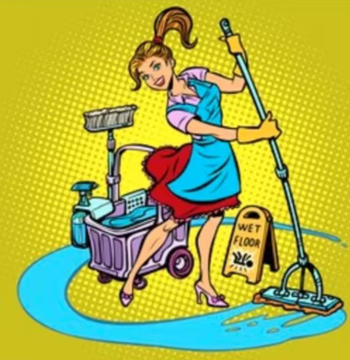 Poetshulp - Schoonmaakster gezocht in Bladel, Diensten en Vakmensen, Huishoudelijke hulp, Schoonmaken