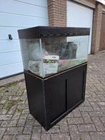 Aquarium 80x40x40/46 cm op kast met pomp en veel toebehoren, Dieren en Toebehoren, Vissen | Aquaria en Toebehoren, Ophalen, Gebruikt