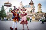2 tickets efteling AH actie flexibel, Tickets en Kaartjes, Drie personen of meer, Ticket of Toegangskaart