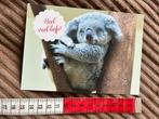 996. Kaart wereld kanker fonds Koala beertje, Ophalen of Verzenden, 1980 tot heden, Ongelopen