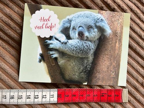 996. Kaart wereld kanker fonds Koala beertje, Verzamelen, Ansichtkaarten | Themakaarten, Ongelopen, 1980 tot heden, Ophalen of Verzenden