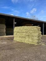 Kleine balen Kruidenhooi Hooi Hooibalen kleine baaltjes, Dieren en Toebehoren, Dierenvoeding, Ophalen, Vee