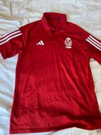 Standard Luik Adidas polo (M), Ophalen of Verzenden, Zo goed als nieuw, Buitenlandse clubs, Overige typen