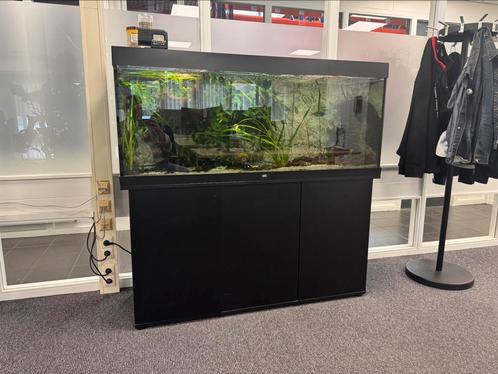 Juwel rio 450 compleet, Dieren en Toebehoren, Vissen | Aquaria en Toebehoren, Zo goed als nieuw, Leeg aquarium, Ophalen