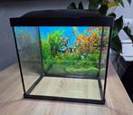 Superfish Aquarium tekoop krasvrij!, Dieren en Toebehoren, Vissen | Aquaria en Toebehoren, Ophalen, Zo goed als nieuw, Leeg aquarium