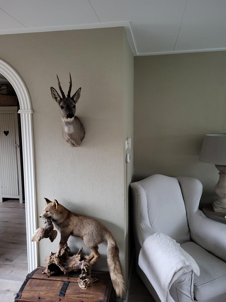 Binnen wand specialist - schilder, Diensten en Vakmensen, Aannemers