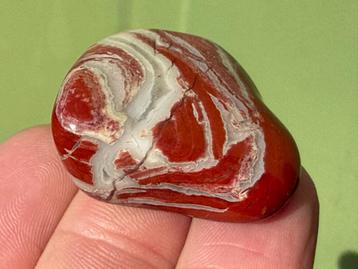 Polychroom jaspis broekzaksteen mineralen uit Zwitserland beschikbaar voor biedingen