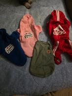 Mooie honden jasjes&truitjes tekoop, Dieren en Toebehoren, Ophalen of Verzenden, Nieuw