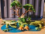 Playmobil krokodillen 3229, Ophalen, Zo goed als nieuw, Complete set