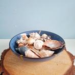 Set decoratieve zeeschelpen, Ophalen of Verzenden, Zo goed als nieuw