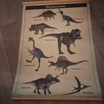 Dino Poster - Terug naar de prehistorie!, Ophalen of Verzenden, Natuur en Biologie