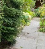 Betontegels 80x80, Tuin en Terras, Tegels en Klinkers, Ophalen, Gebruikt, 10 m² of meer, Beton