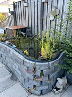 Complete vijver te koop, Tuin en Terras, Vijvers, Ophalen, Gebruikt