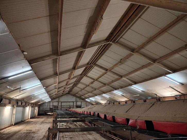 Staal constructie sandwich panelen zonnepanelen, Dieren en Toebehoren, Stalling en Weidegang