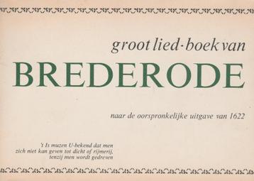 Voorhout, Kostelick mal en oogentroost Korenbloemen.Groot li beschikbaar voor biedingen