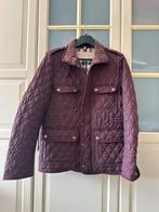 Burberry Brit herenjas - maat S - bordeauxrood, Ophalen of Verzenden, Gedragen, Maat 46 (S) of kleiner, Burberry