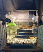 Nano cube 30 liter, Dieren en Toebehoren, Vissen | Aquaria en Toebehoren, Ophalen, Zo goed als nieuw, Leeg aquarium
