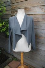 Jasje grijs Sarah Pacini mt S/M Vaste prijs, Maat 38/40 (M), Sarah Pacini, Ophalen of Verzenden, Zo goed als nieuw