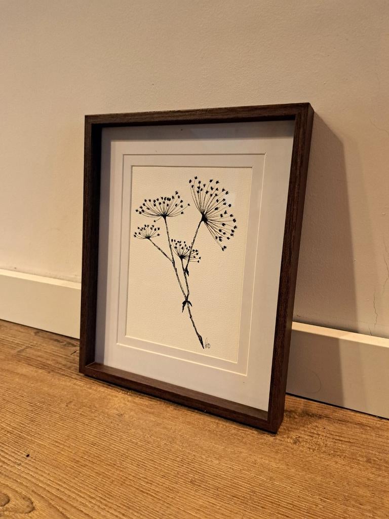 Botanische illustratie Berenklauw, Minder dan 50 cm, Ophalen of Verzenden, Zo goed als nieuw, Minder dan 50 cm