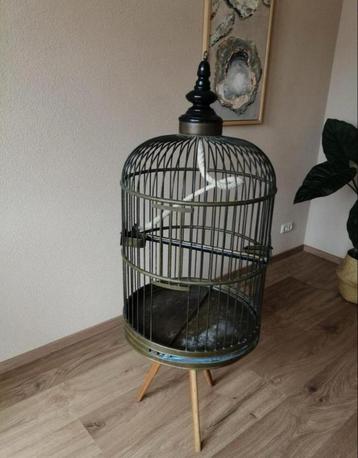 Antieke Vogelkooi met Standaard beschikbaar voor biedingen