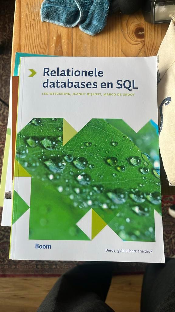 Leo Wiegerink - Relationele databases en SQL, Boeken, Informatica en Computer, Zo goed als nieuw, Ophalen of Verzenden