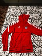 Bayern München Trainingsjack voetbal Hoodie - Maat L Dames, Ophalen of Verzenden
