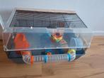 Grote hamster kooi, Gebruikt, Minder dan 75 cm, Ophalen, Minder dan 60 cm