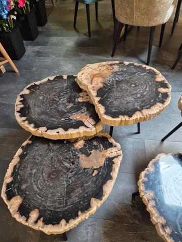 Set van 3 versteend houten salontafels  beschikbaar voor biedingen